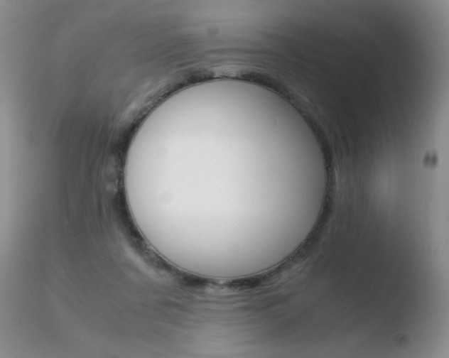 X0000110730311200906121317