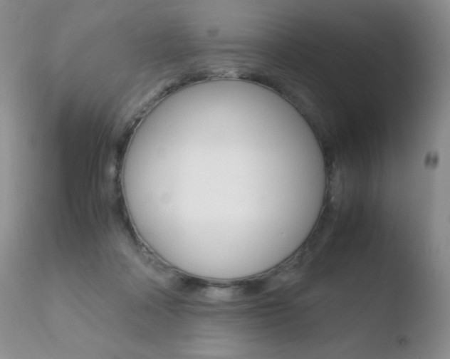 X0000110730314200906121317