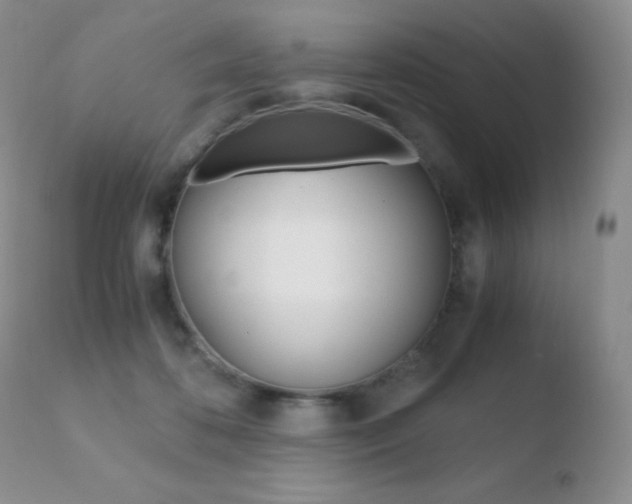 X0000110730316200906121317