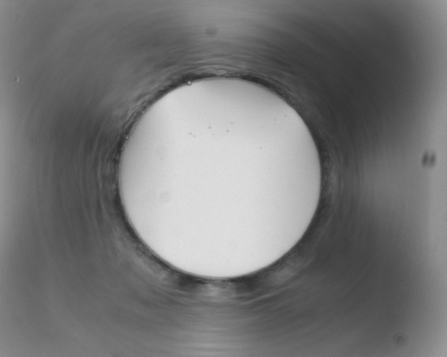 X0000110730317200906121317