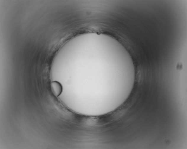 X0000110730318200906121317