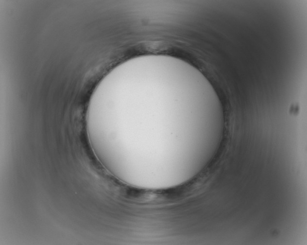 X0000110730319200906121317