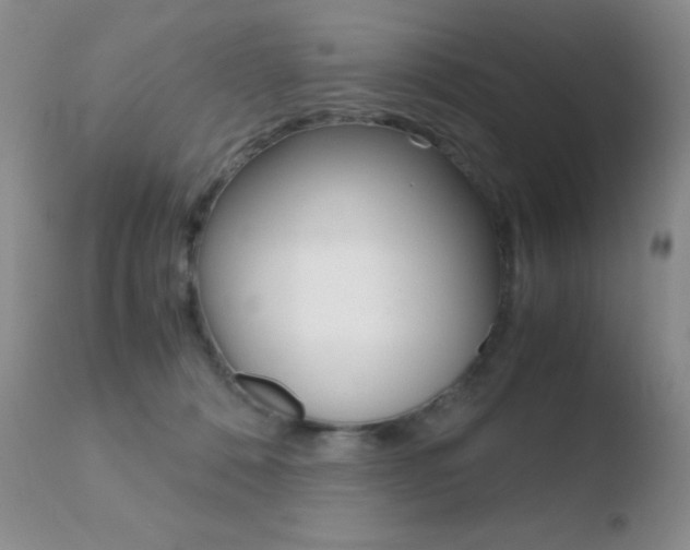 X0000110730320200906121317
