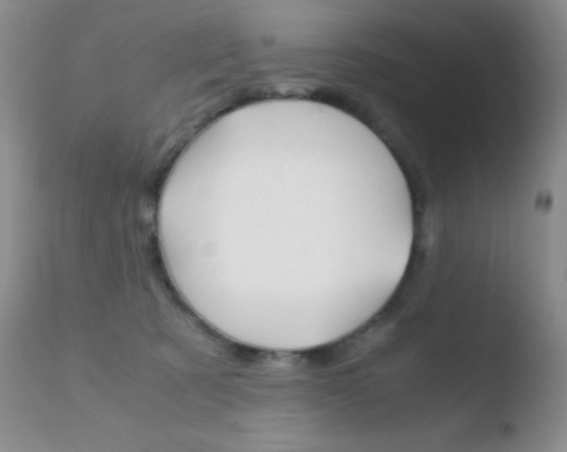 X0000110730321200906121317