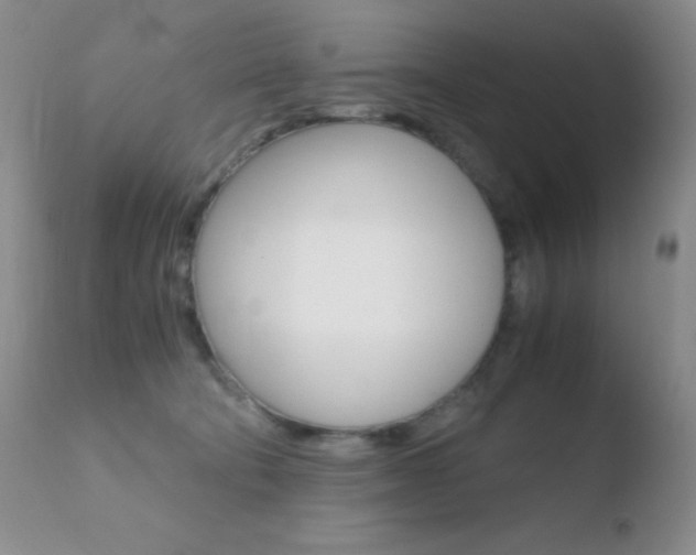 X0000110730322200906121317