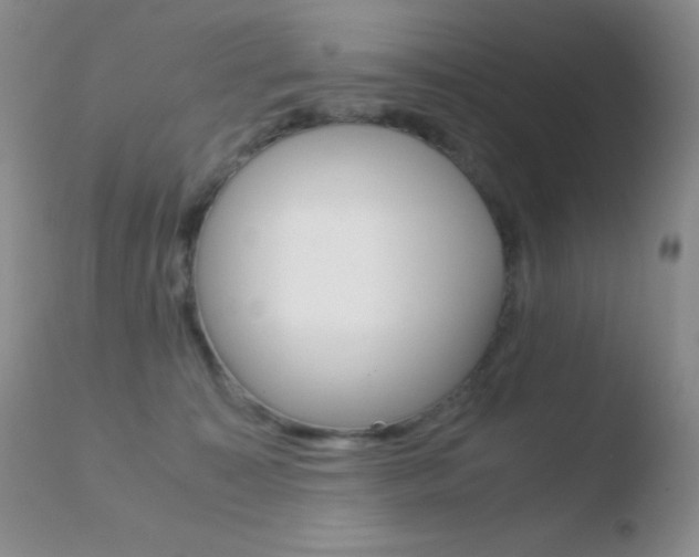 X0000110730323200906121317
