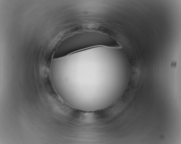 X0000110730324200906121317