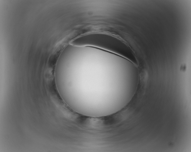 X0000110730327200906121317