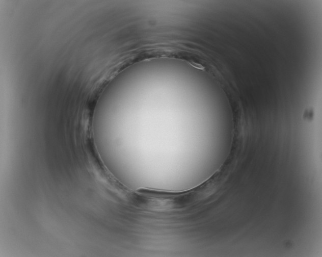 X0000110730328200906121316