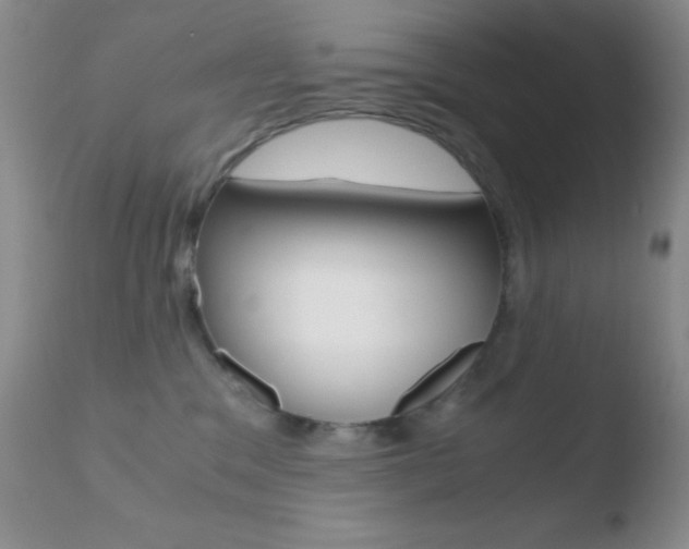 X0000110730329200906121316