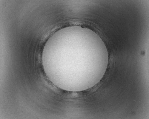 X0000110730330200906121316