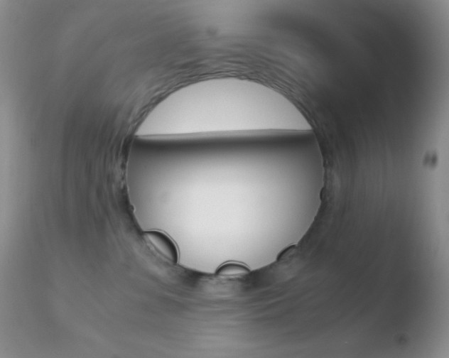X0000110730331200906121316