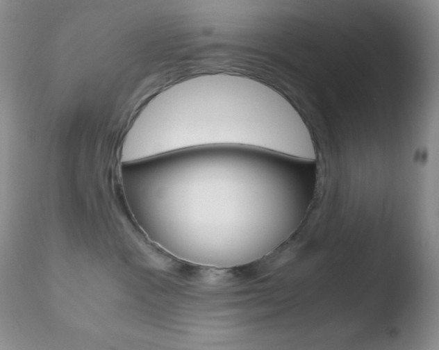 X0000110730333200906121316