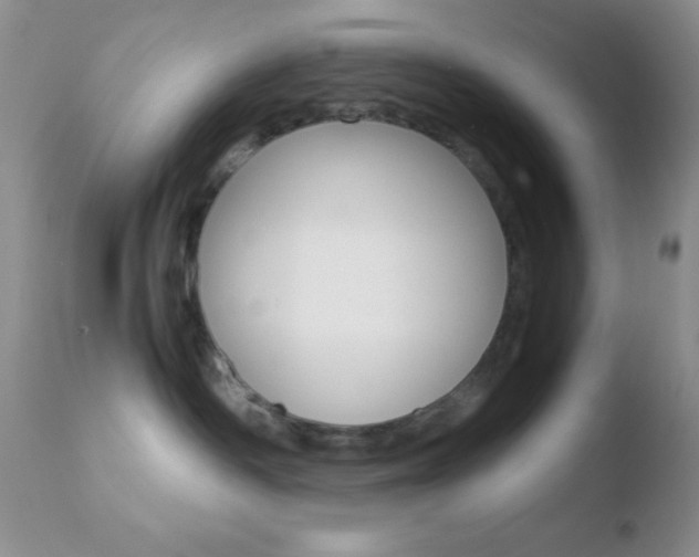 X0000110730334200906121316