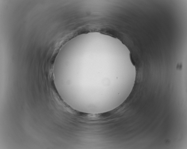 X0000110730335200906121316