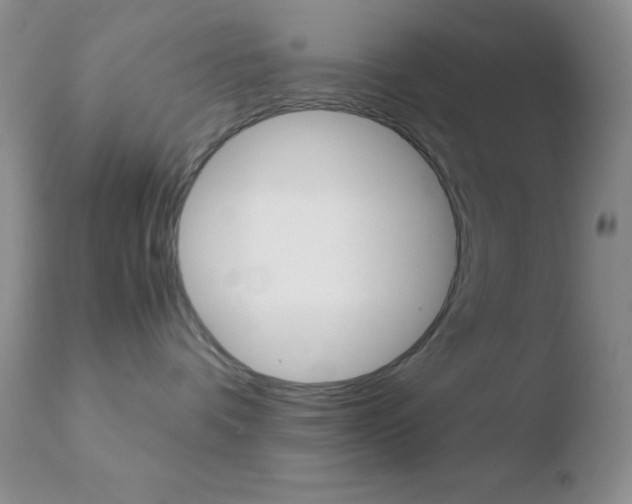 X0000110730336200906121316
