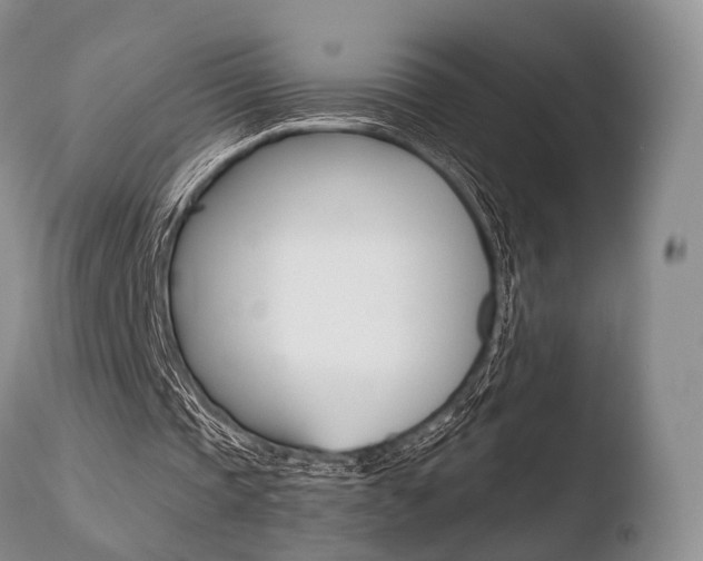 X0000110730337200906121316