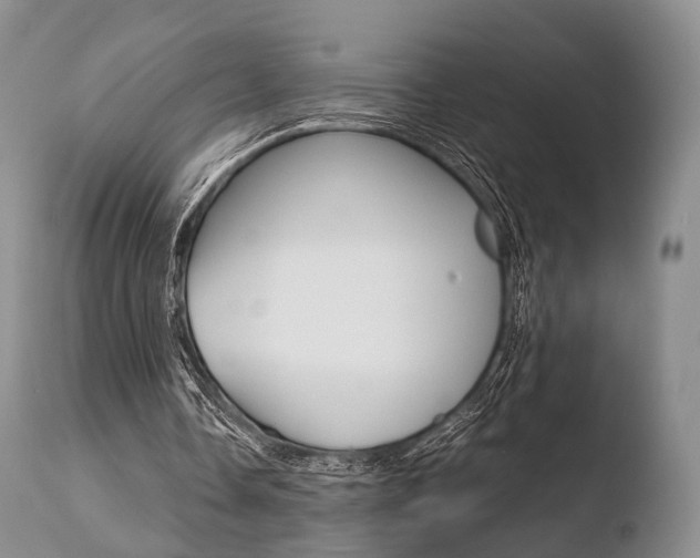 X0000110730338200906121316
