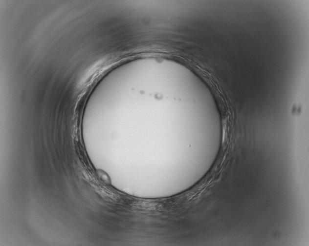 X0000110730339200906121316