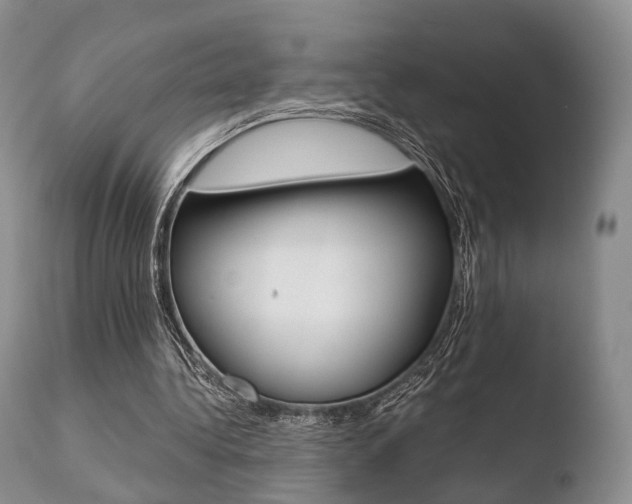 X0000110730340200906121316