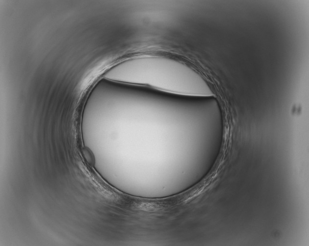 X0000110730341200906121316