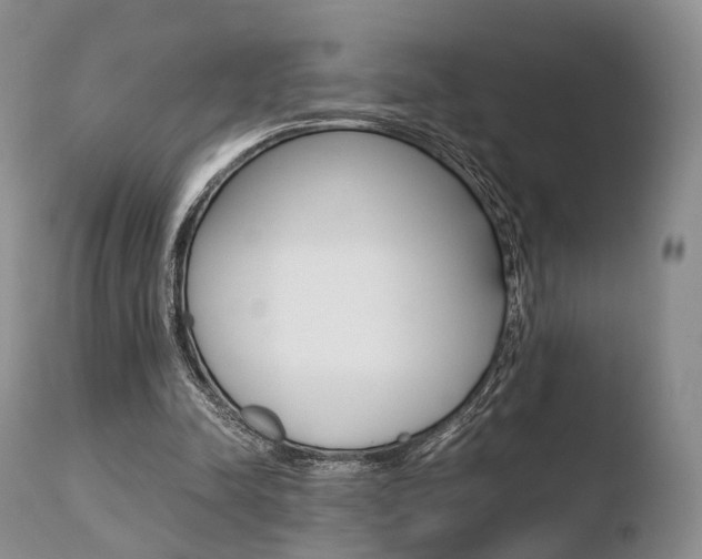 X0000110730342200906121316