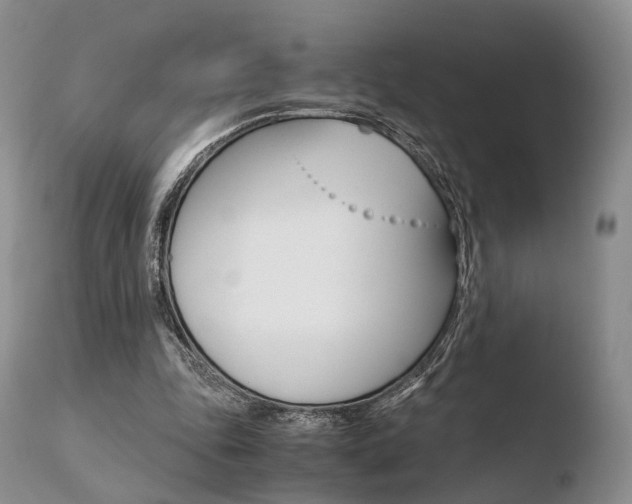 X0000110730343200906121316