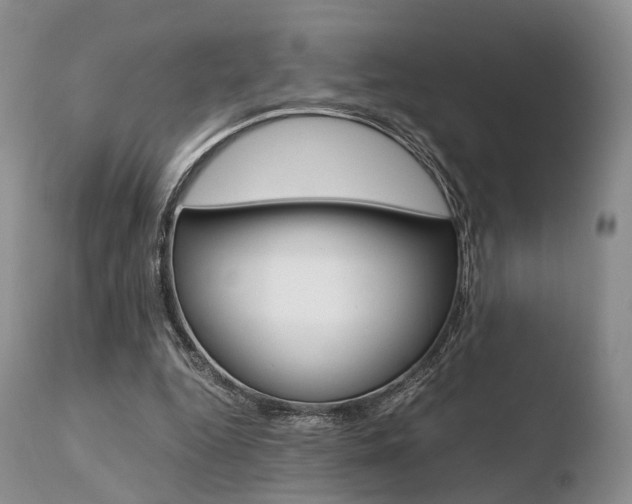X0000110730344200906121316