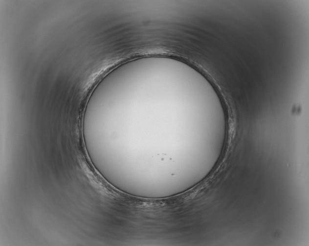 X0000110730345200906121316