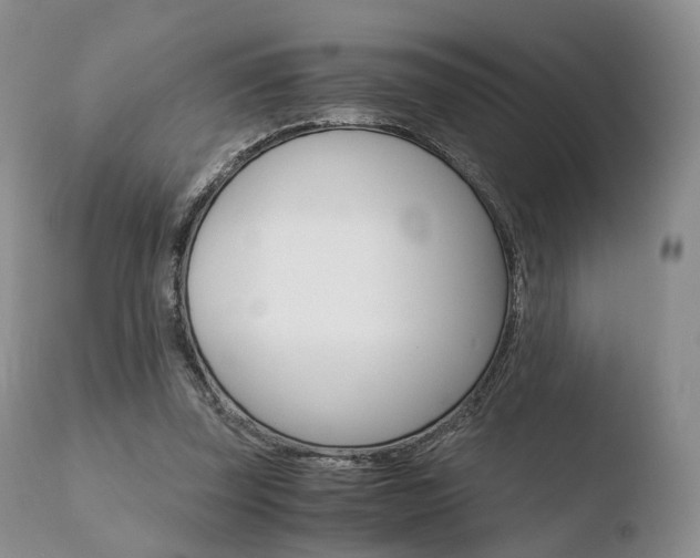X0000110730347200906121316