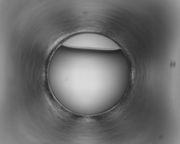 X0000110730348200906121316