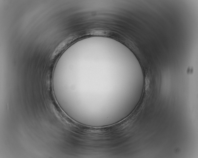 X0000110730349200906121316