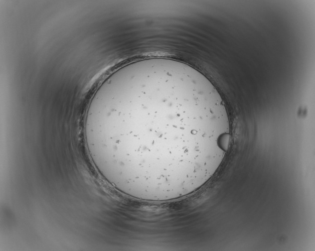 X0000110730351200906121316