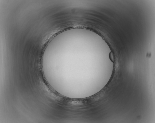 X0000110730353200906121316