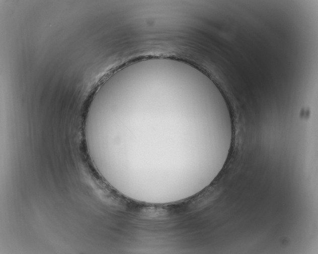 X0000110730354200906121316