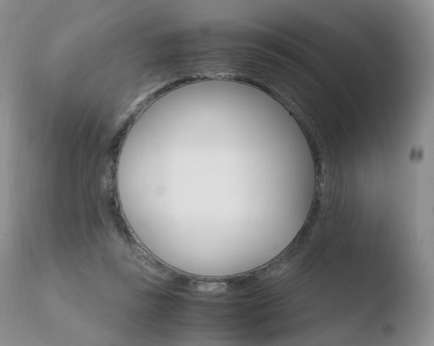 X0000110730355200906121316