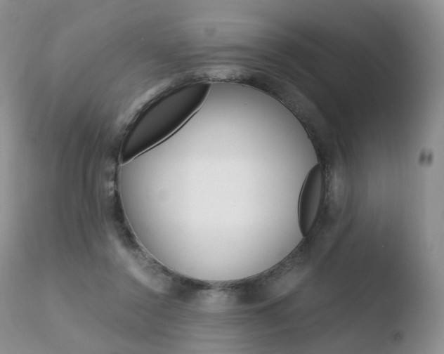 X0000110730356200906121316