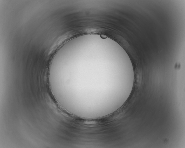 X0000110730357200906121316
