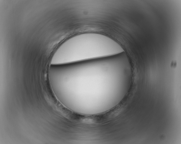 X0000110730358200906121316