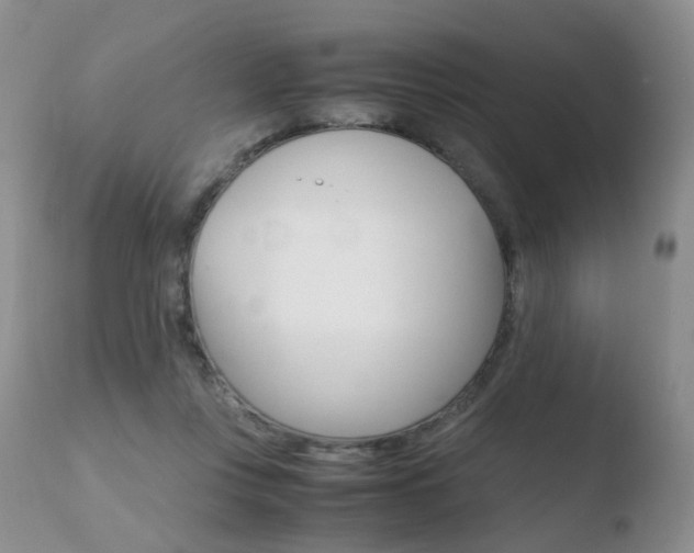 X0000110730359200906121316
