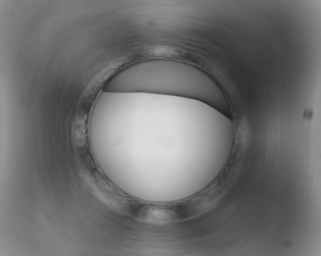 X0000110730360200906121316