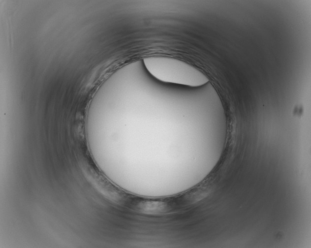 X0000110730361200906121316