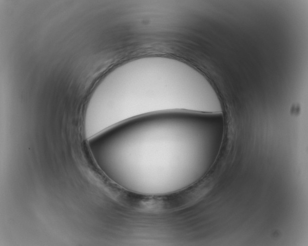 X0000110730362200906121316