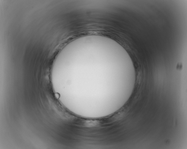 X0000110730363200906121316