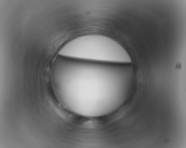X0000110730364200906121316