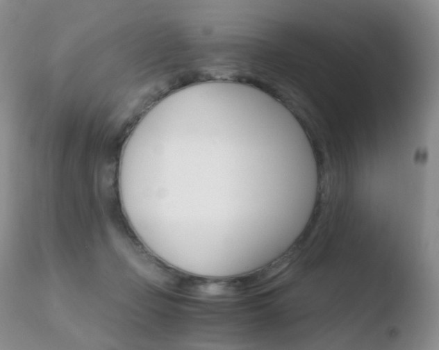 X0000110730365200906121316