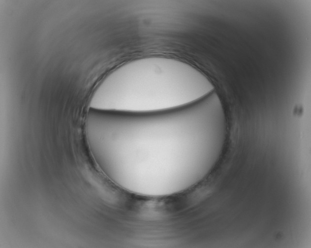 X0000110730366200906121316