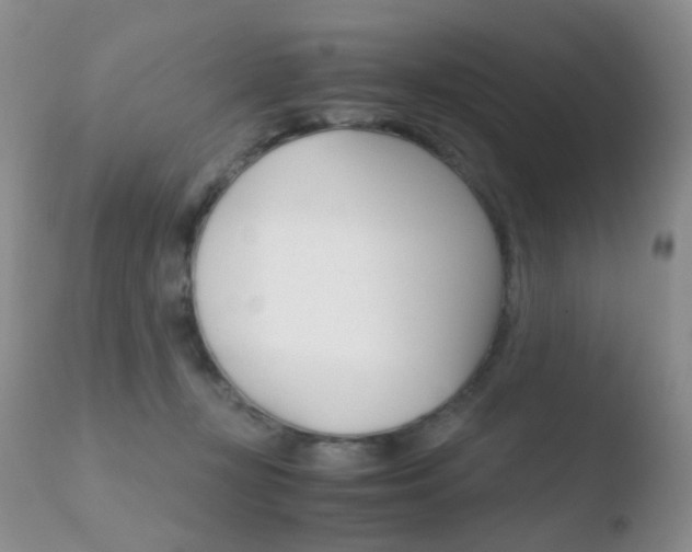 X0000110730367200906121316