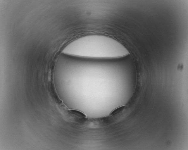 X0000110730368200906121316