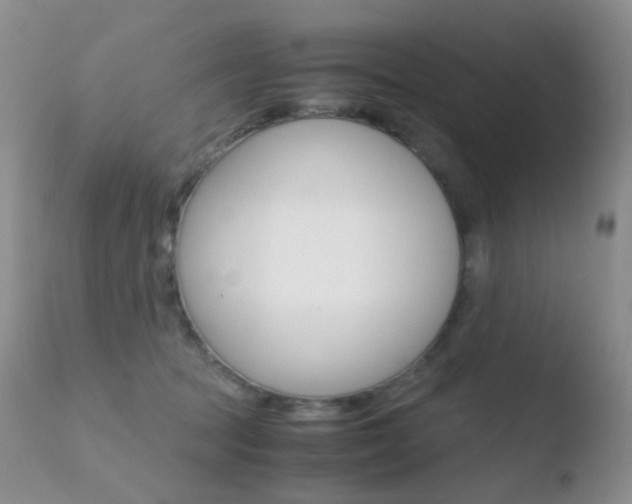 X0000110730369200906121316